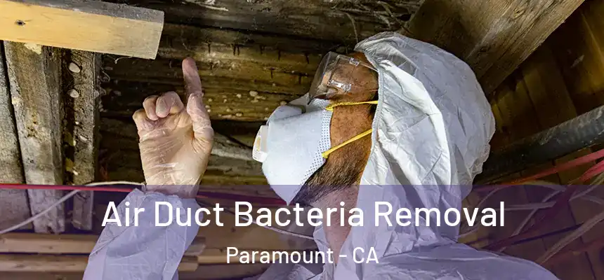 Air Duct Bacteria Removal Paramount - CA