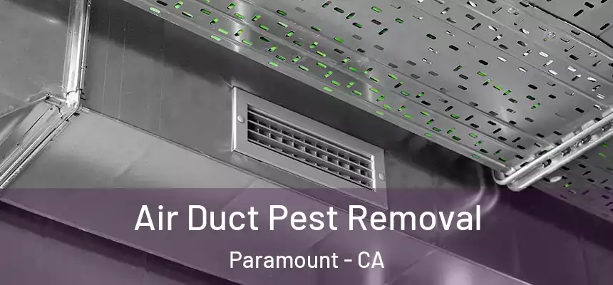 Air Duct Pest Removal Paramount - CA