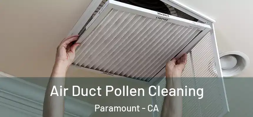  Air Duct Pollen Cleaning Paramount - CA
