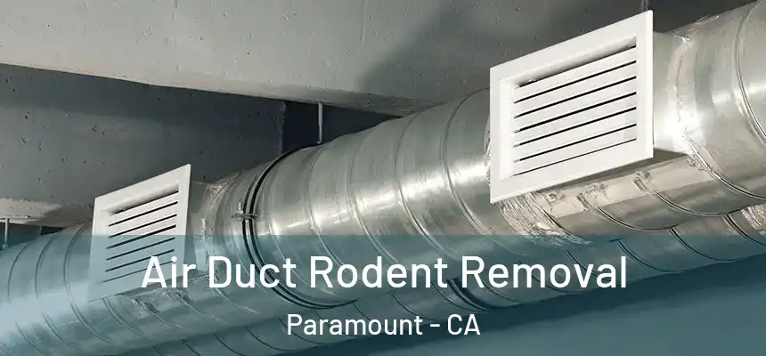 Air Duct Rodent Removal Paramount - CA