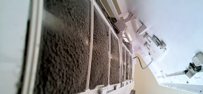 Preventive Air Duct Bacteria Removal in Paramount