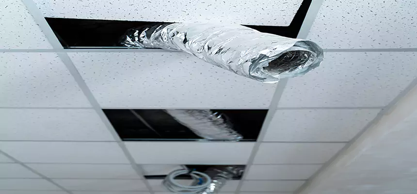 Affordable HVAC Sanitizing After Pest Removal in Paramount