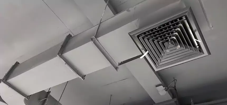 Restorative Allergy Relief Vent Cleaning – Coil, Blower & Housing Detail in Paramount