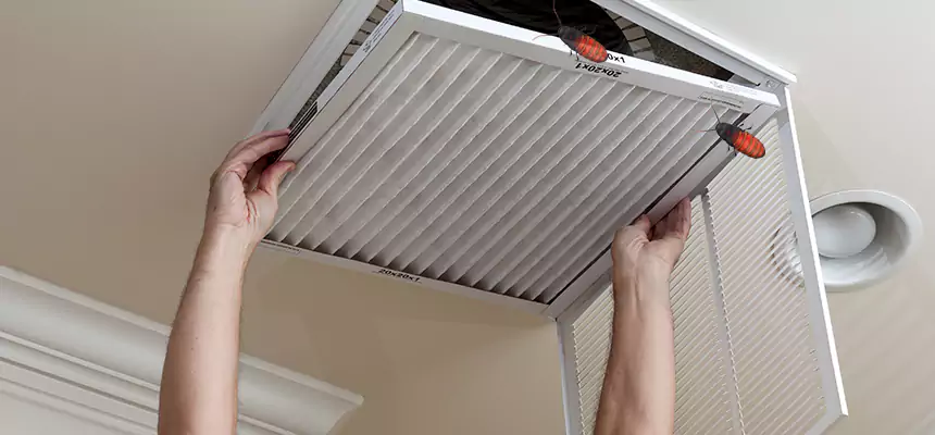 Our Insect Removal from Air Ducts Services in Paramount, CA