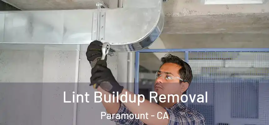  Lint Buildup Removal Paramount - CA