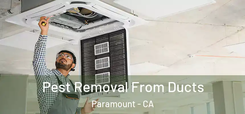 Pest Removal From Ducts Paramount - CA