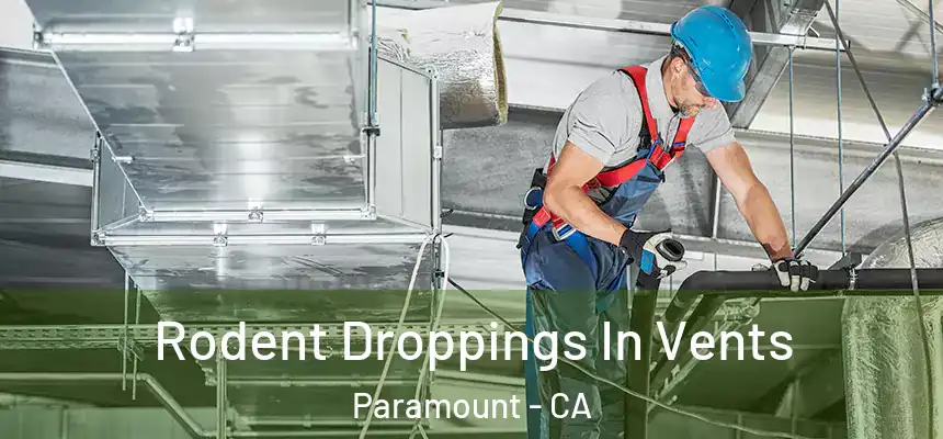  Rodent Droppings In Vents Paramount - CA