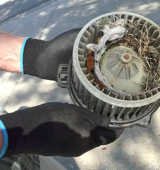 About Air Duct Mice Removal in Paramount, CA