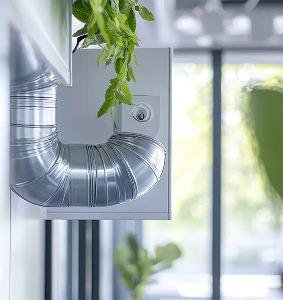 Professional Eco-Safe Dryer Vent Cleaning in Paramount, CA