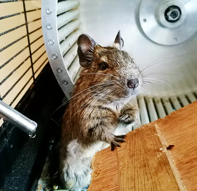 Why Homeowners & Businesses Trust Us Paramount, CA