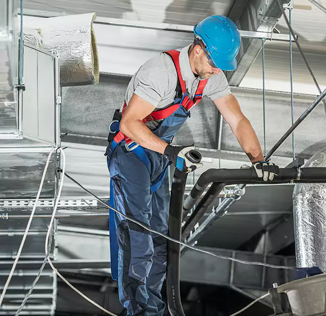 Why Homeowners & Businesses Trust Us in Paramount, CA?