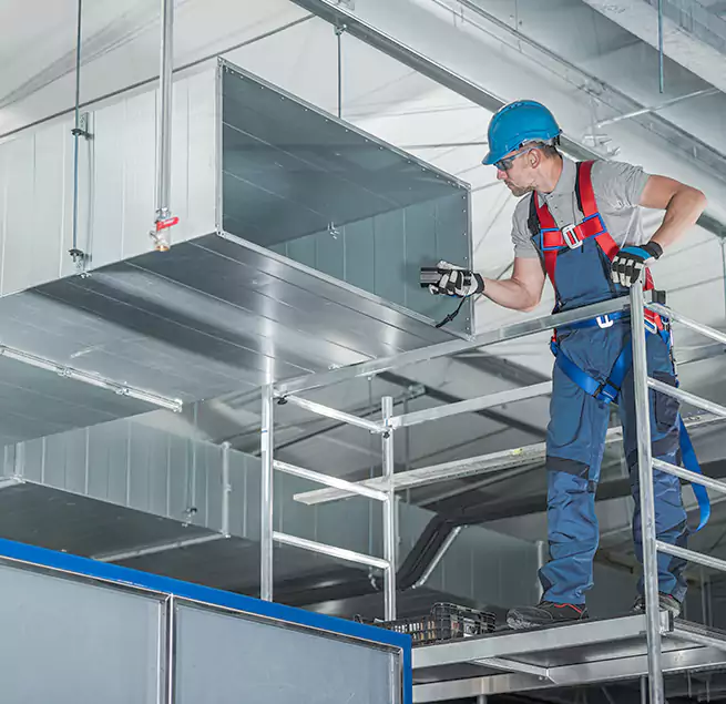 Why Homeowners & Businesses Trust Us in Paramount, CA?