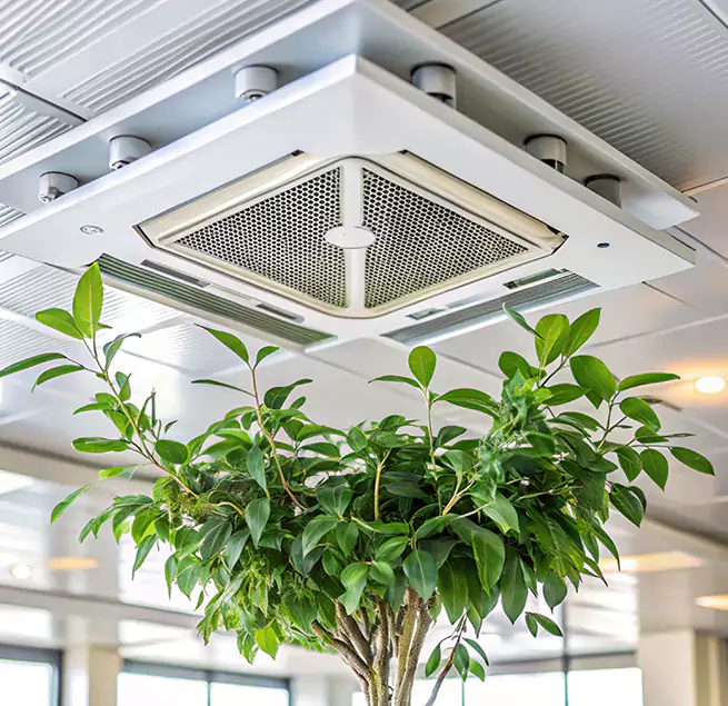 Why Homeowners & Businesses Trust Us in Paramount, CA?