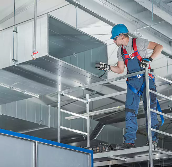 Why Homeowners Businesses Trust Us in Paramount, CA