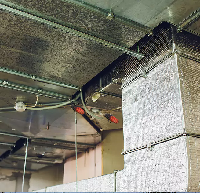 Why Homeowners & Businesses Trust Us Paramount, CA?