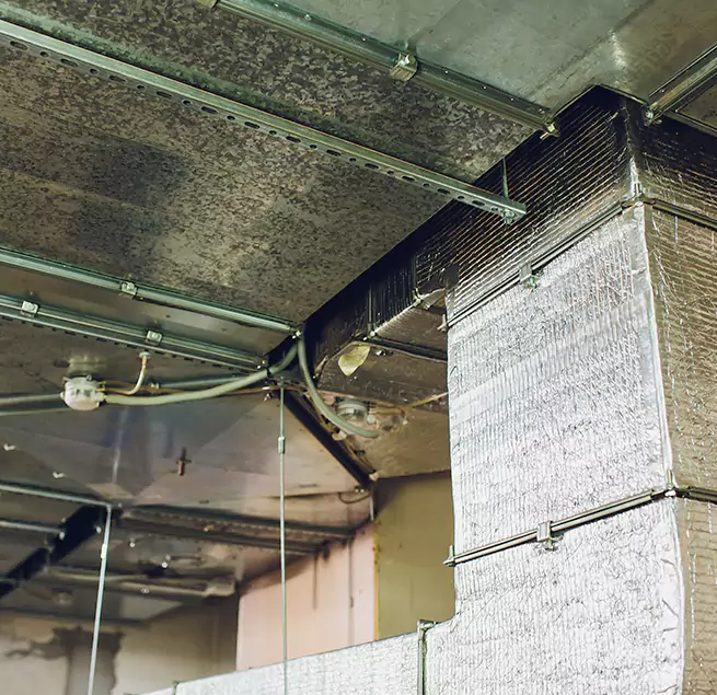 Why Homeowners & Businesses Trust Us in Paramount, CA?