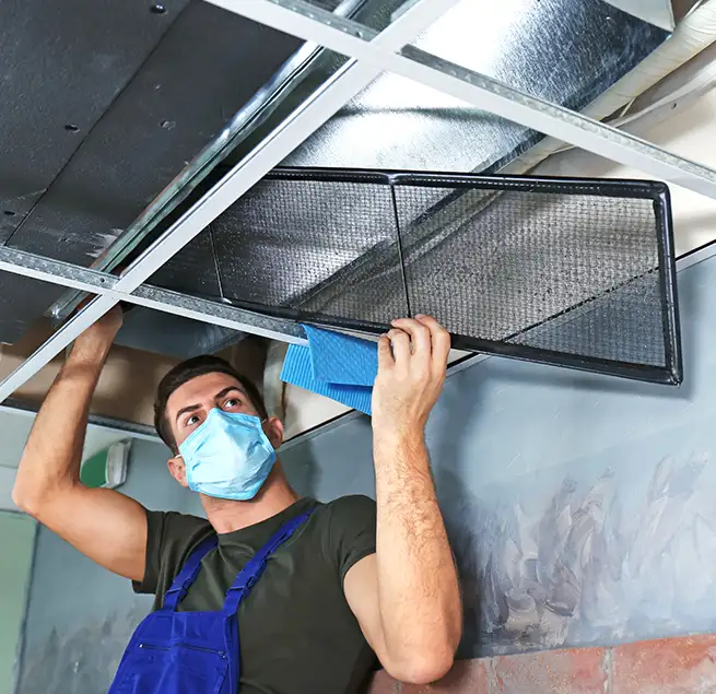 Why Homeowners & Businesses Trust Us in Paramount, CA?