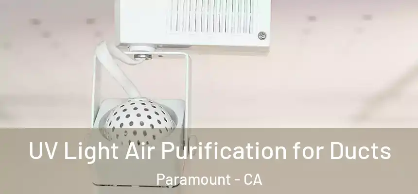  UV Light Air Purification for Ducts Paramount - CA